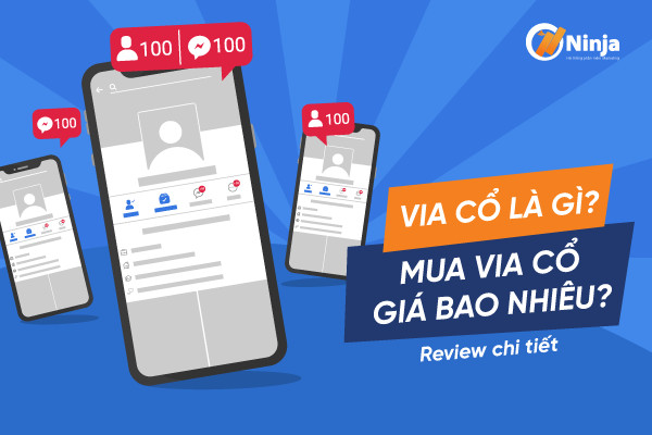 VIA cổ - các loại via chạy quảng cáo facebook